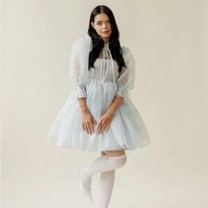 The Hydrangea Ever After Dress